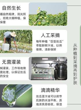 巨型一号丝瓜原液旗舰店官网正品