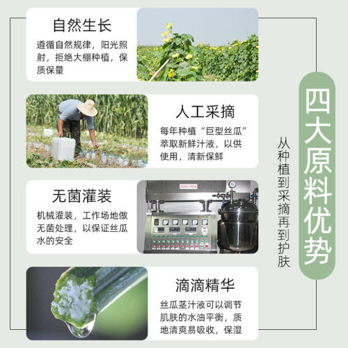 巨型一号丝瓜水原液旗舰店官网正品湿敷平衡水油性肤质爽肤水 - 图1