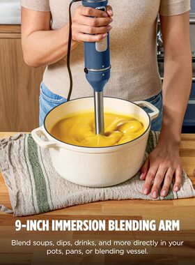美国代购Ninja Immersion Blender and Whisk CI201GY 手持搅拌器