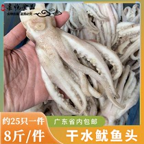 Frozen squid head 8 catty fresh squid to be barbecue iron plate squid string hot pot squid foot foot Guangdong