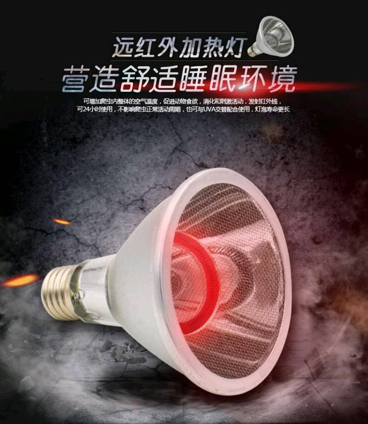 爬虫加热灯节能碳纤维夜灯陆龟蜥蜴变色龙饲养箱红外加热器防烫 - 图0