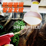 Бесплатная доставка рептилий ПЭТ -Земля Черепаха Ламп Университет Утепления Утопора