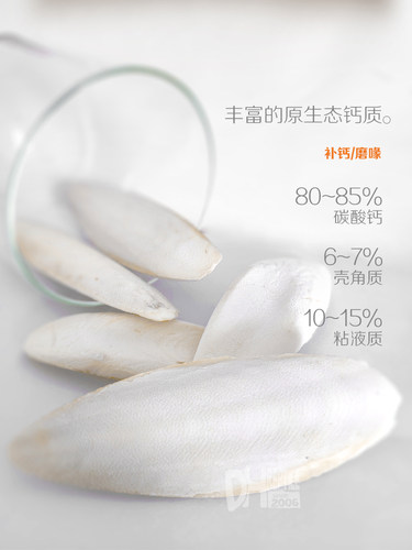 天然补钙 精磨墨鱼骨 陆龟水龟爬虫钙源 H-STUDIO - 图0