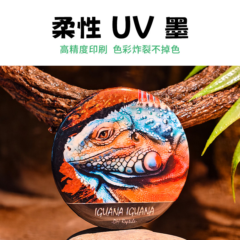 爬宠双闪吧唧特色爬行动物徽章胸针谷子蜥蜴陆龟蛇类鬃狮原创周边,淘宝优惠券,粉丝福利购,淘宝优惠卷