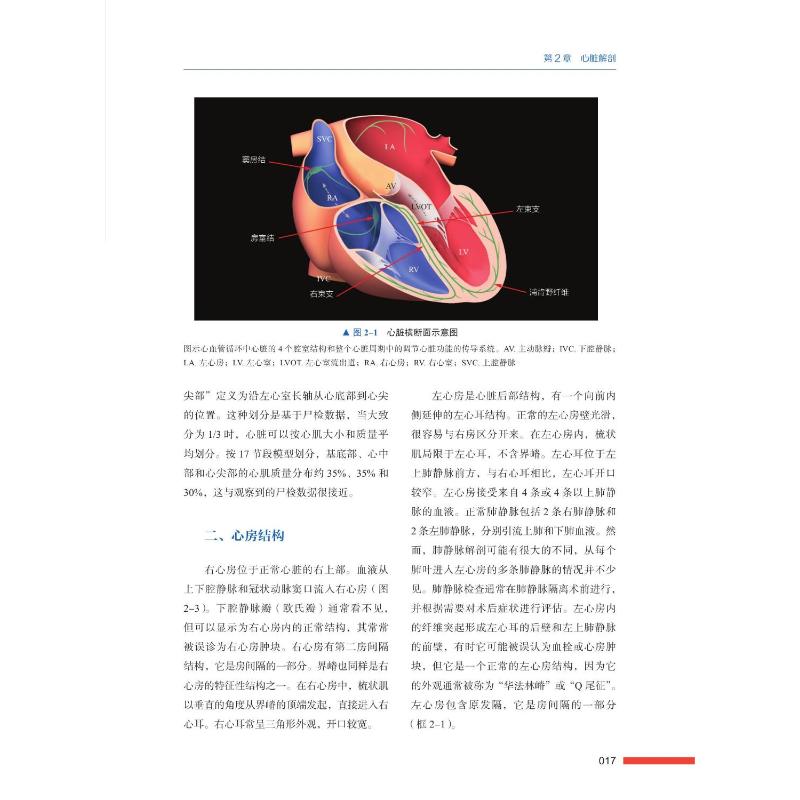 Mayo Clinic 心脏磁共振指南 原书 第2二版 心血管成像治疗心脏疾病临床诊断书籍影像学核磁MRI磁共振成像技术 中国科学技术出版社 - 图0