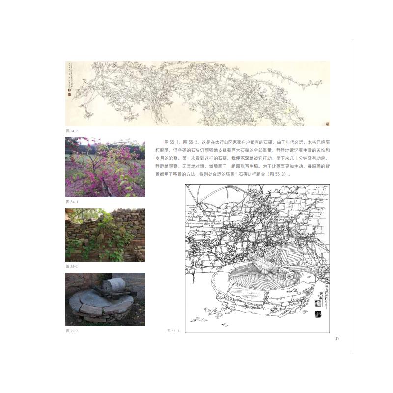 花卉线描写生技法全教程 刘兴建 著 绘画（新）艺术 新华书店正版图书籍 福建美术出版社 - 图0