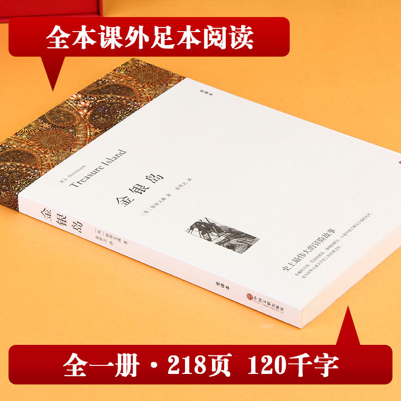 金银岛 斯蒂文森著 正版原著完整版无删减中文版附插图 成人小学生初中生高中生阅读课外书课外阅读书籍世界经典文学名著外国小说