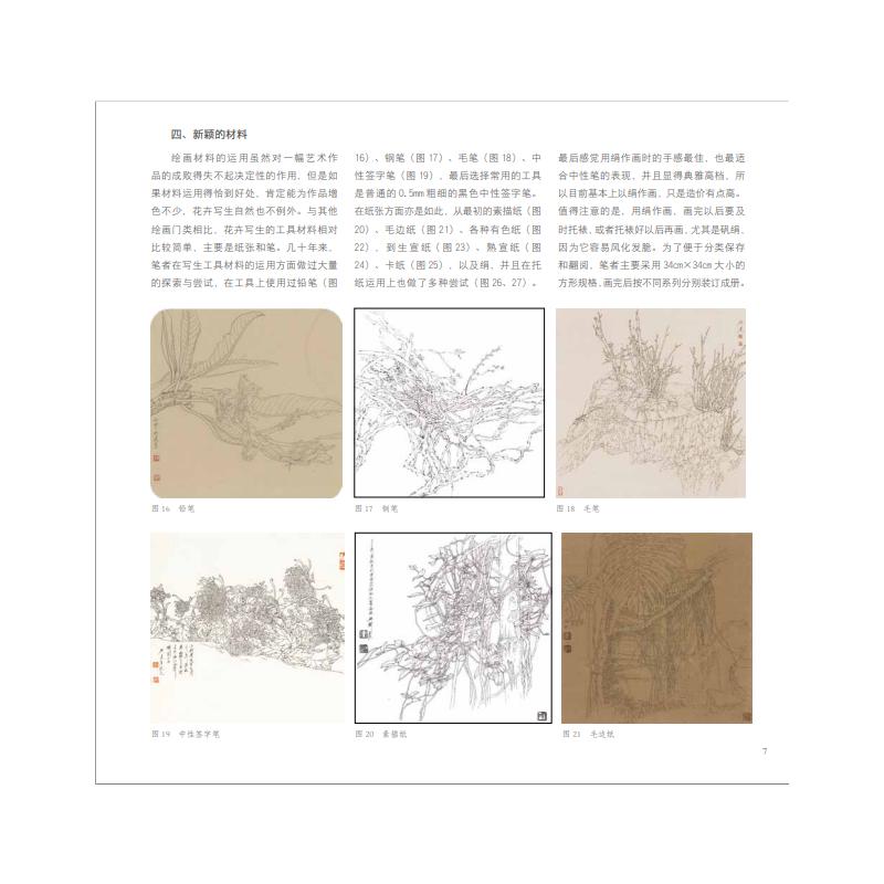 花卉线描写生技法全教程 刘兴建 著 绘画（新）艺术 新华书店正版图书籍 福建美术出版社 - 图2