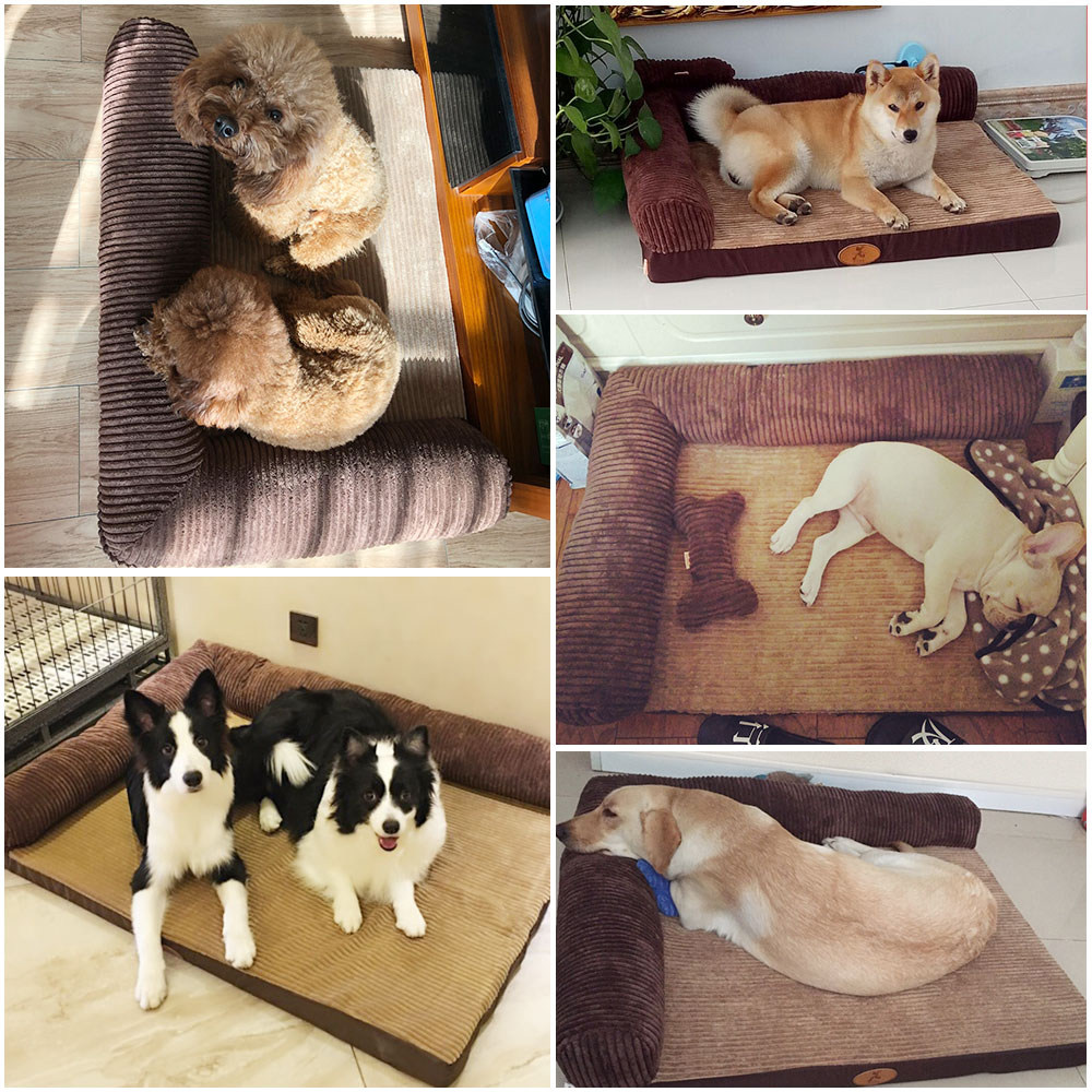 狗窝边牧四季通用夏季可拆洗狗沙发凉席垫子用品柯基狗狗床宠物床,淘宝优惠券,粉丝福利购,淘宝优惠卷