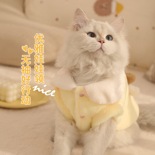 猫咪衣服加绒娃娃领秋冬保暖加厚德文无毛猫幼猫狗狗冬天小狗外套 - 图1