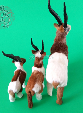 藏羚羊小动物高仿真皮毛摆件
