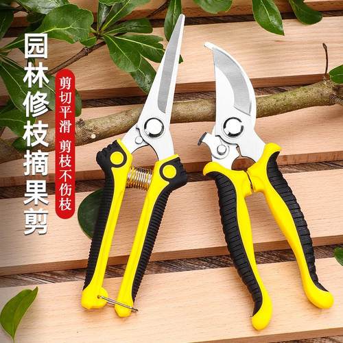 防滑花剪枝园艺剪刀修枝剪省力修剪树枝果树园林花卉专用花艺剪子 - 图0