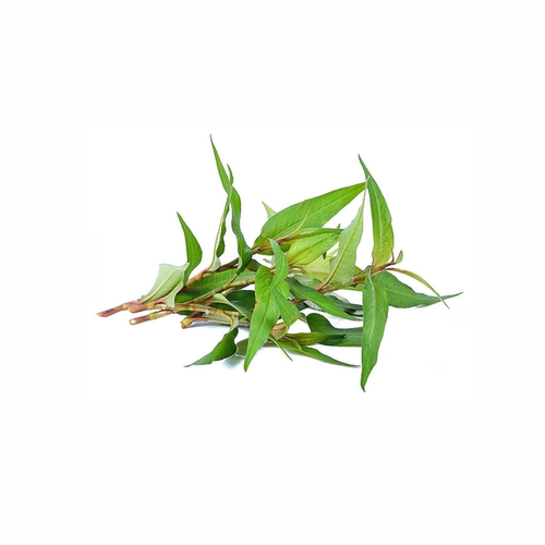 新鲜香柳叶鱼生草叻沙叶香蓼辣蓼草拉萨叶拉莎叶500g鱼生越南香菜 - 图3