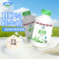 青海湖青海高原鲜牛奶500ml 4瓶巴氏杀菌低温纯鲜活青藏高原鲜奶