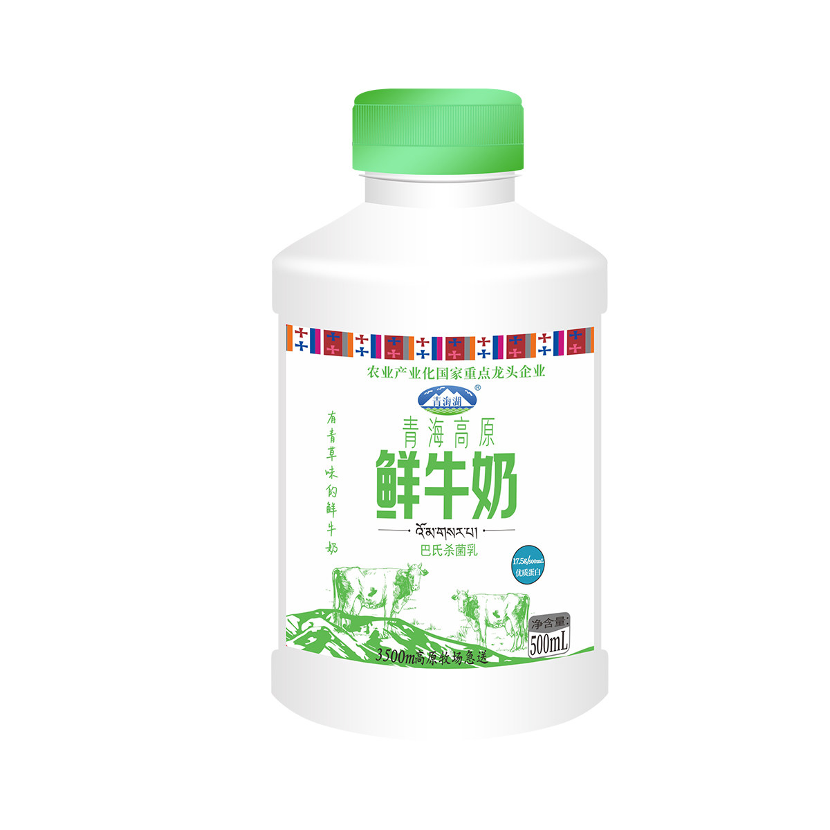 【香菇618】青海湖青海高原鲜牛奶500ml*4瓶巴氏杀菌低温鲜活牛奶