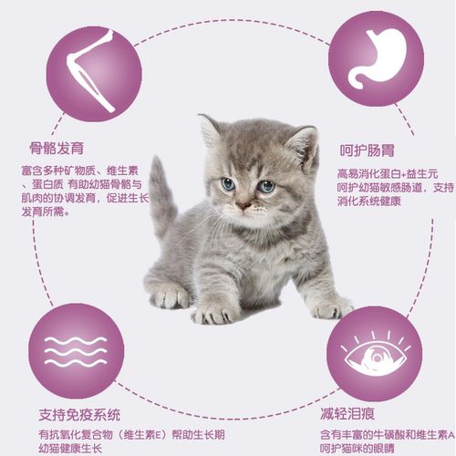 【首单直降】简简单单冻干猫粮幼猫奶糕粮离乳期孕期哺乳期全价粮 - 图2