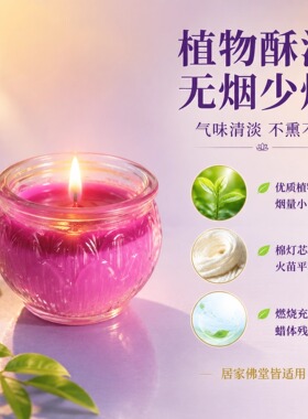 九紫离火酥油灯24小时紫色蜡烛
