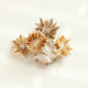 Natural small conch shell bench chrysanthemum sea urchin