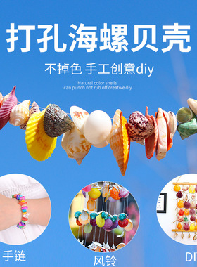 天然贝壳海螺海星打孔