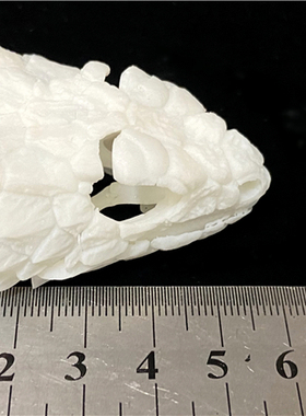 新款3d打印动物骨骼标本高精度