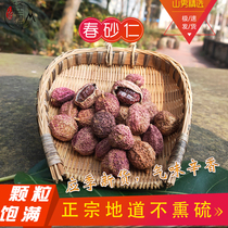 Guangdong Spring Sand Kernel not smoked with sulphur Chinese herbal medicine Spring sand scent Xin fragrant and affordable Electer 100 gr