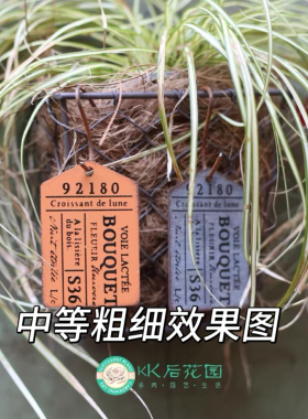 锈色生锈色工艺 园艺铁艺铁丝铁棍 园艺杂货配件 满28包邮