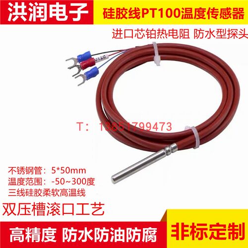 进口贺利氏WZP-PT100铂热电阻A级温度传感器防水型探头测温线 - 图0