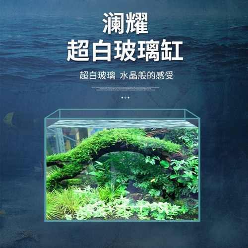 金晶五线超白鱼缸大小型鱼缸定制客厅造景水草缸乌龟缸水族玻璃缸 - 图0