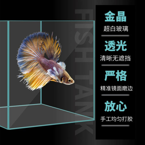 金晶五线超白鱼缸大小型鱼缸定制客厅造景水草缸乌龟缸水族玻璃缸 - 图1