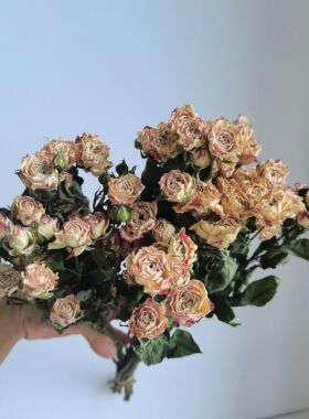 多头玫瑰蔷薇真花干花家居摆件客厅装饰宿舍餐厅网红花束包邮