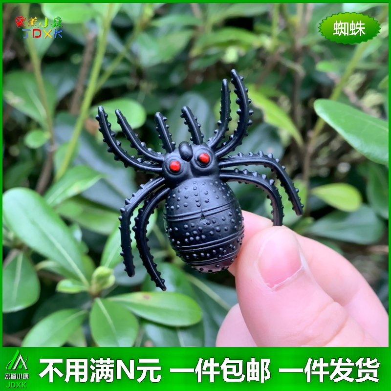 仿真蚂蚁蜘蛛大小号套装儿童过家家认知玩具礼物迷你昆虫动物模型 - 图1