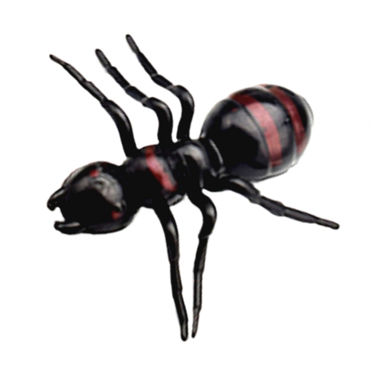 仿真蚂蚁蜘蛛大小号套装儿童过家家认知玩具礼物迷你昆虫动物模型 - 图3