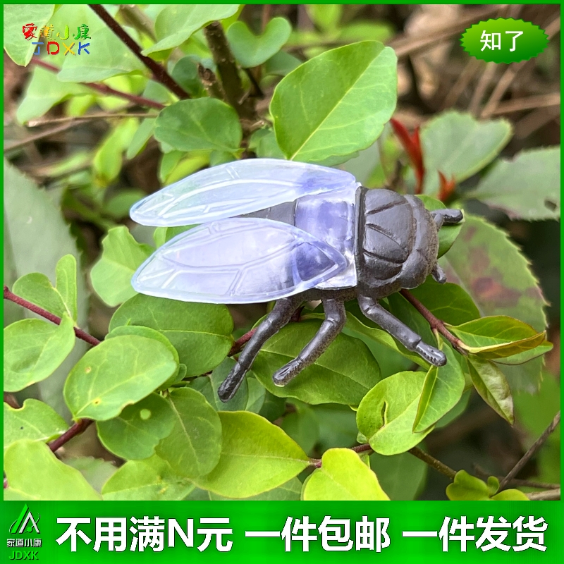 仿真小昆虫12只套装幼儿园儿童玩具迷你蝎子蟋蟀知了静态动物模型 - 图0
