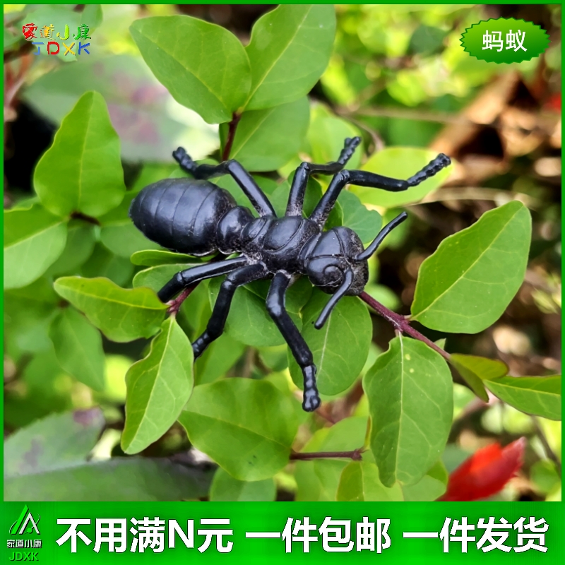 仿真小昆虫12只套装幼儿园儿童玩具迷你蝎子蟋蟀知了静态动物模型 - 图1
