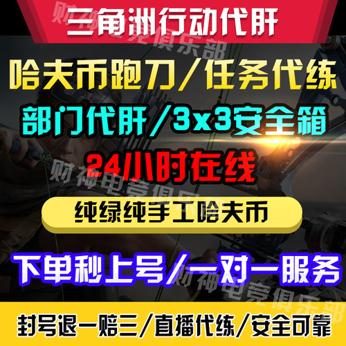 三角洲行动跑刀代肝/3X3保险/部门任务升级/大红收集三角洲护航 - 图0