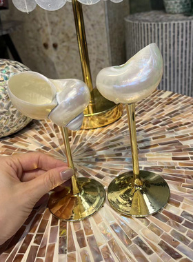 创意天然海螺贝壳高脚杯香槟杯小众海螺酒杯摆件
