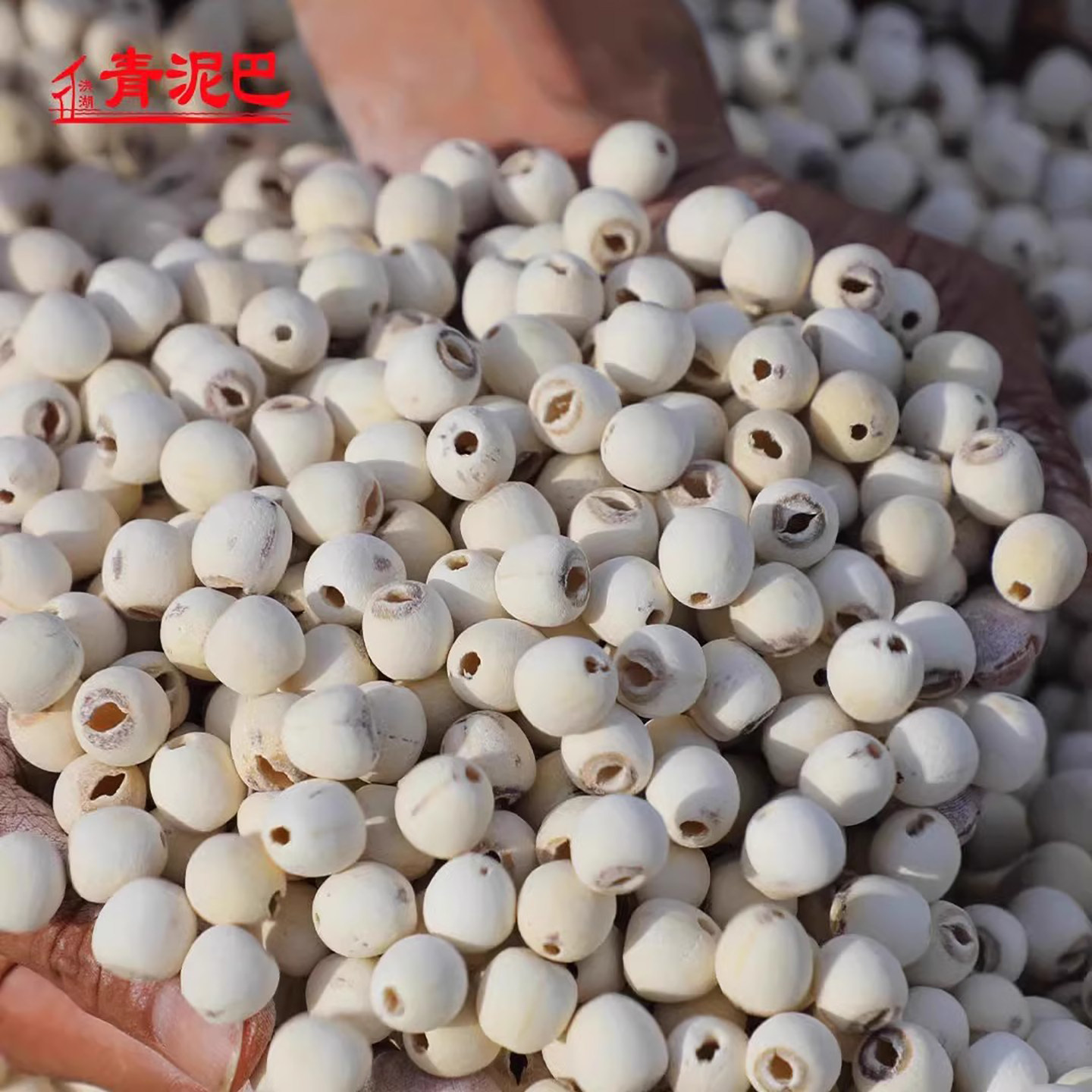 莲子青泥巴干货去芯带芯洪湖白莲湖北特产大莲子2025年新莲子,淘宝优惠券,粉丝福利购,淘宝优惠卷