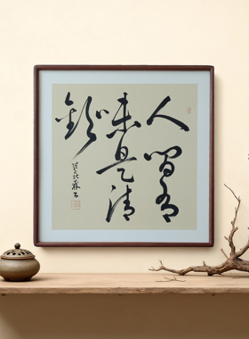 手写书法静观世界笑看人生 侘寂风客厅玄关禅意字画书房茶室挂画