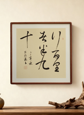 应无所住而生其心手写书法侘寂风客厅玄关禅意字画书房茶室挂画