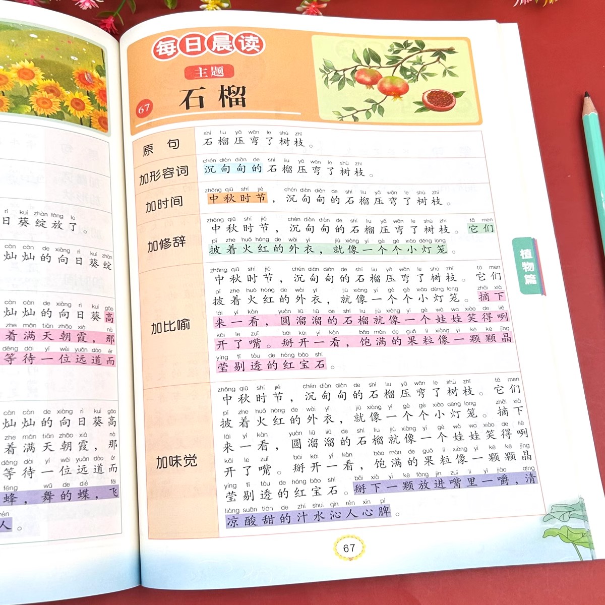 2025新版 扩句法每日晨读 晨读美文小学生一年级二年级下册三年级优美句子积累大全作文素材小学版语文扩句法五感法写作文看图写话 - 图1