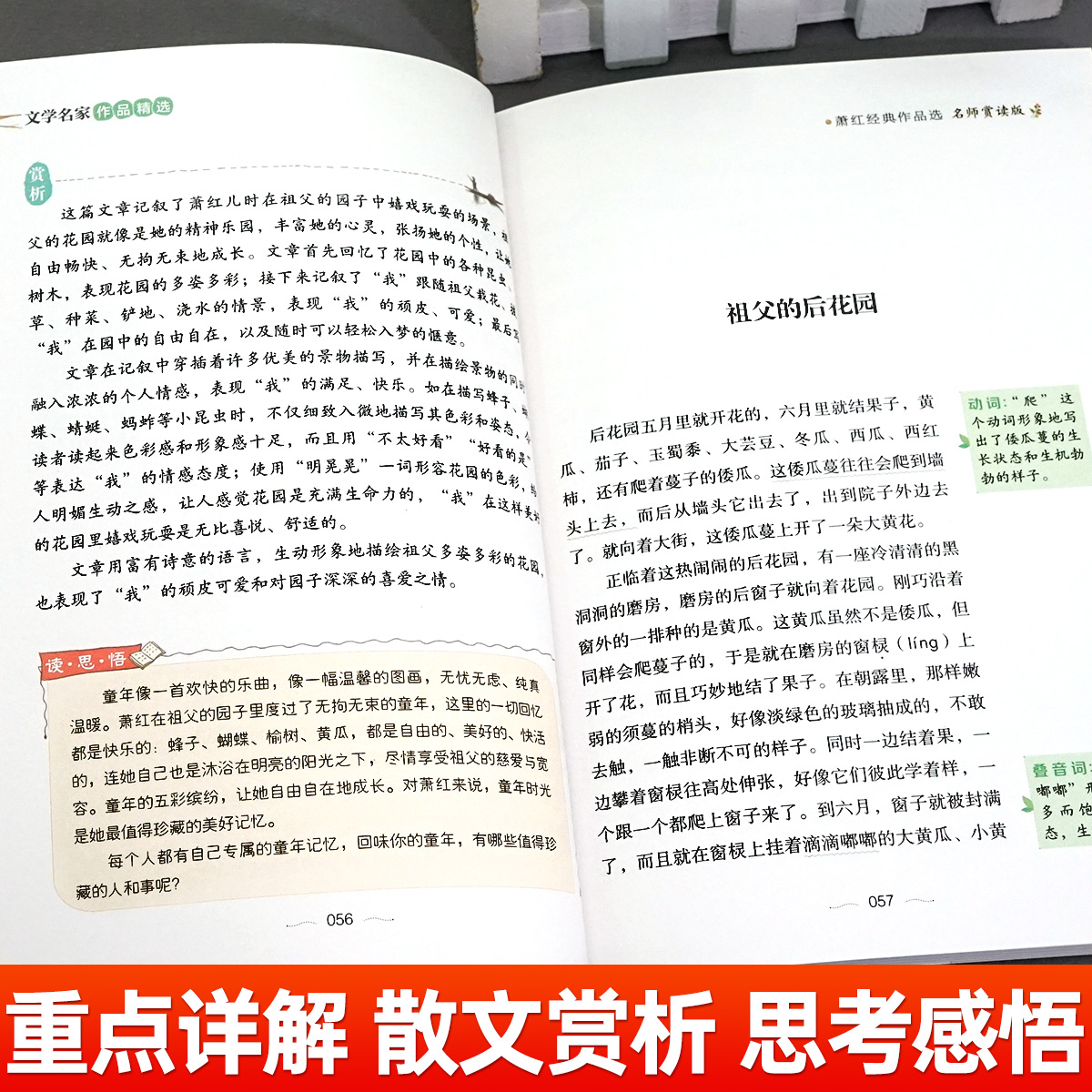 小学生散文读本 朱自清老舍经典文学作品全集冰心鲁迅叶圣陶名家散文集精选四年级课外书必读老师推荐小学生五六年级课外阅读书籍