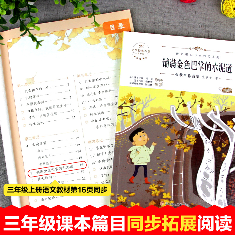 三年级推荐阅读课外书经典必读上册宝葫芦的秘密大林和小林小学生课外阅读书籍老师推荐正版适合3年级儿童的书去年的树金色的草地 - 图2