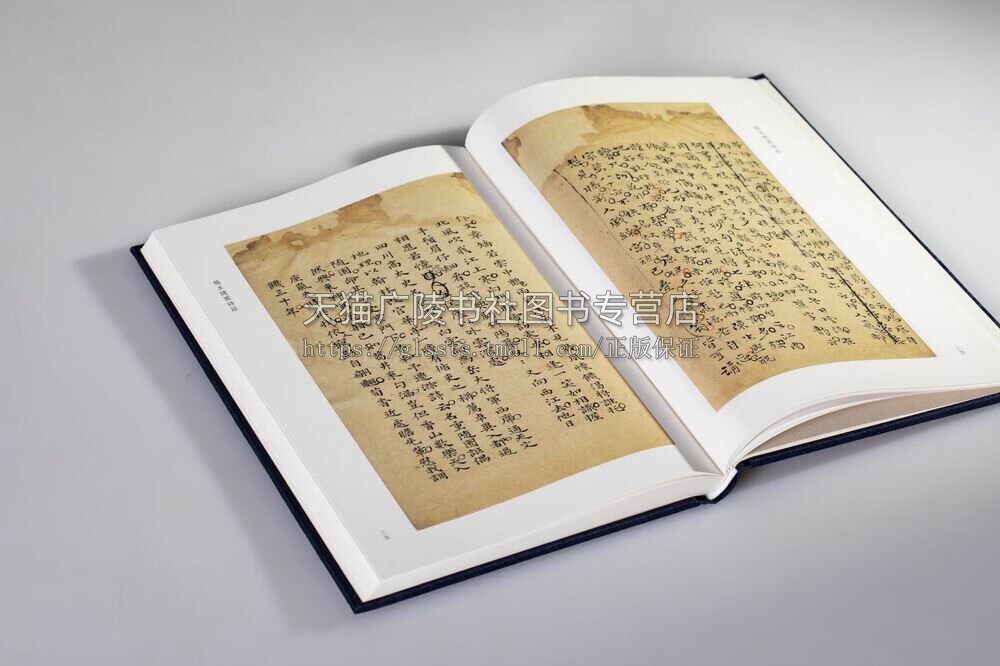 宛委遗珍稿本随园诗话(全彩印)袁枚手迹随园诗话袁枚诗学思想天津图书馆藏本浙江古籍出版社_虎窝淘