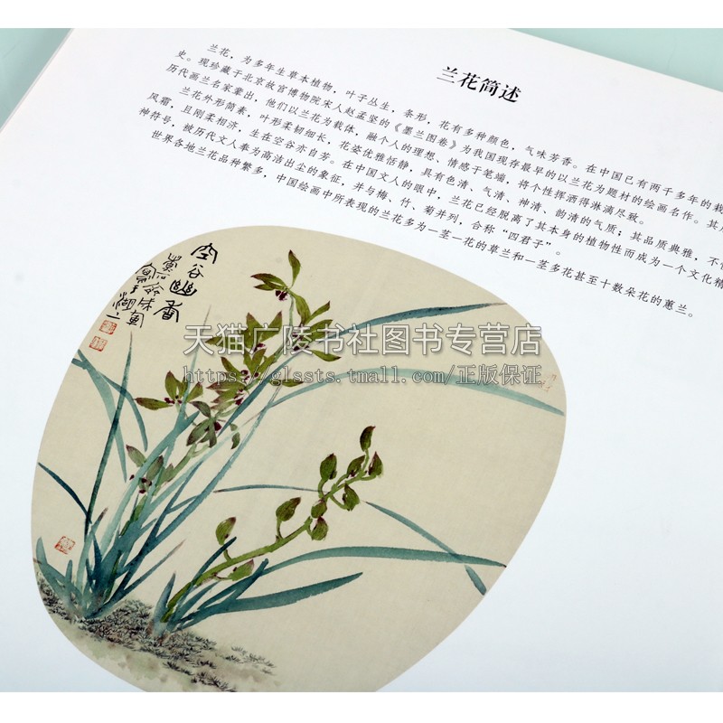 名家教你画·花卉果蔬系列(共八册) 中国画技法丛书国画入门儿童成人国画入门教程随书附赠免费视频教学花鸟技法临摹教材书