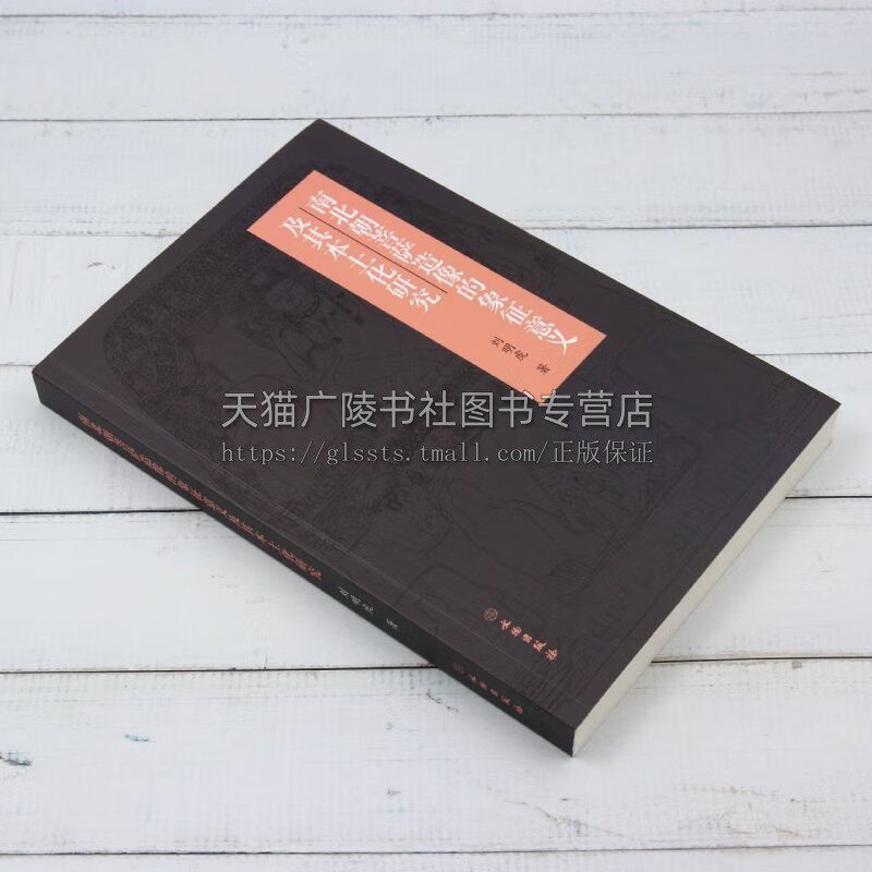南北朝菩萨造像的象征意义及其本土化研究 古印度中亚中国菩萨造像艺术麦积山云冈早期石窟形象演变文献研究书籍 文物出版社