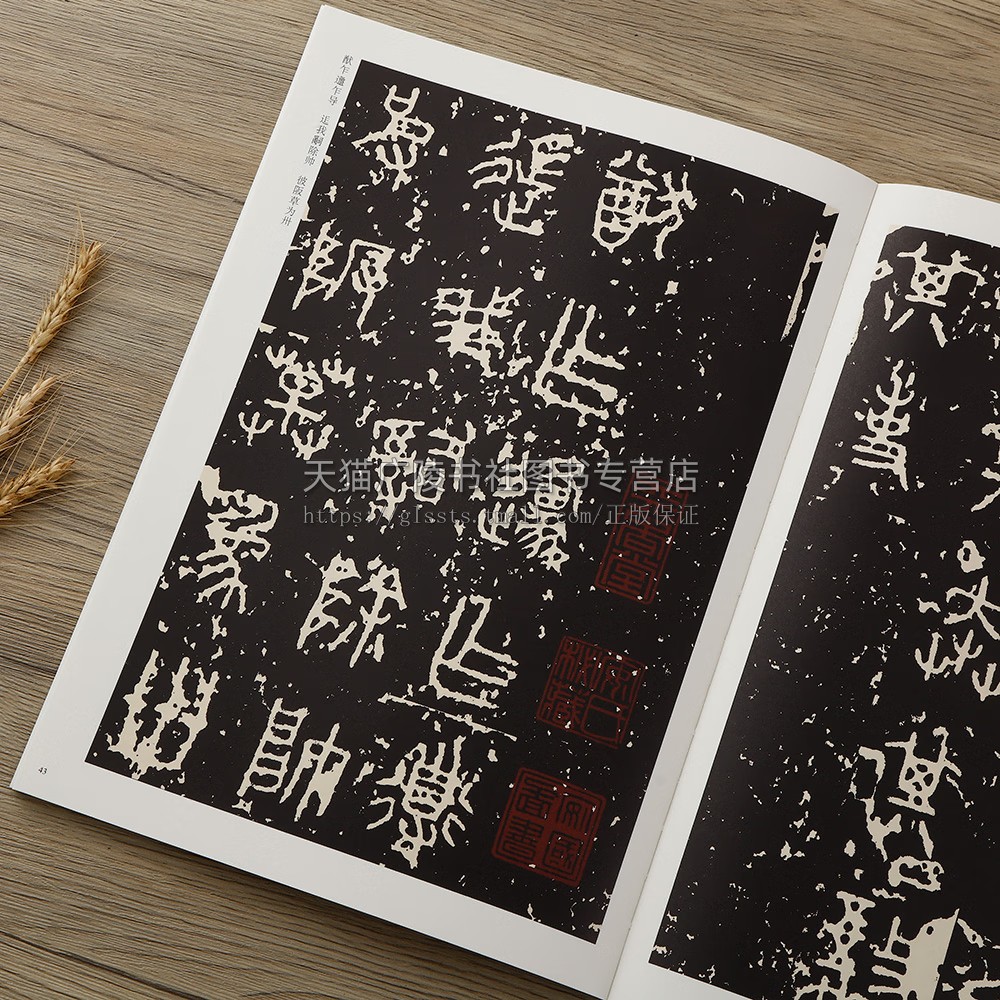 历代名碑临习技法精解(12册) 楷书篆书毛笔字帖临摹详解超清范本 大篆入门教程基本笔画间架结构临摹字帖 历代经典名碑临摹