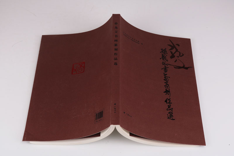 孙龙父书画绘画篆刻作品选 中国名家书法作品大全集 书法绘画名家名品鉴赏 毛笔书法全集 书法字帖行书草书隶书篆书楷书教程书籍