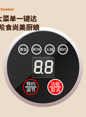 英规迷你小电饭煲1.6升1-2人