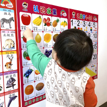 Baby Early Education Enlightenment Puzzle Wall Chart Fruit Vegetable Animal Han Digital Pinyin logo Non Talking Cognitive Wall Sticker