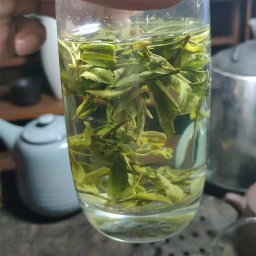 0415顶峰 豆香群体种100克 三王堂龙井茶26年新茶 - 图1